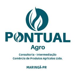 logo da empresa Pontual - Consultoria Intermediacao e Comercio de Produtos Agricolas