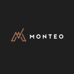 logo da empresa Monteo Consultoria e Gestao Empresarial