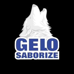 logo da empresa Gelo Saborize